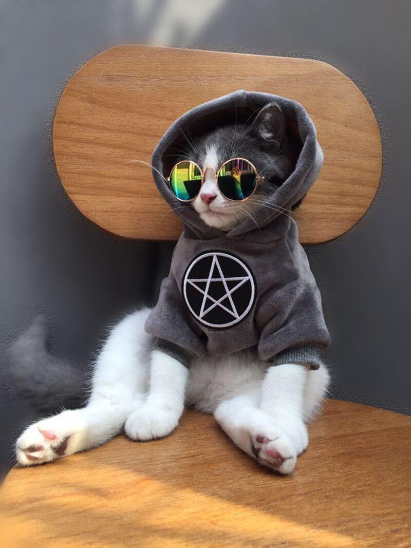 Pet Fashion Hoodie - Image 6
