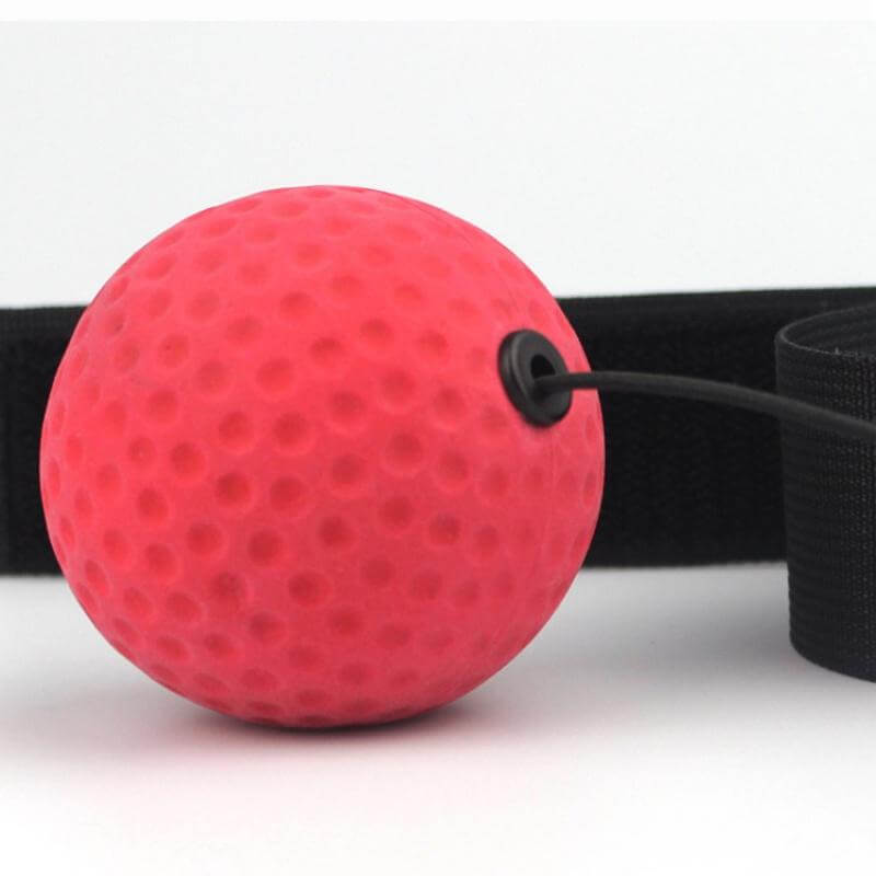 Boxing Fun Training Gadget - Image 2
