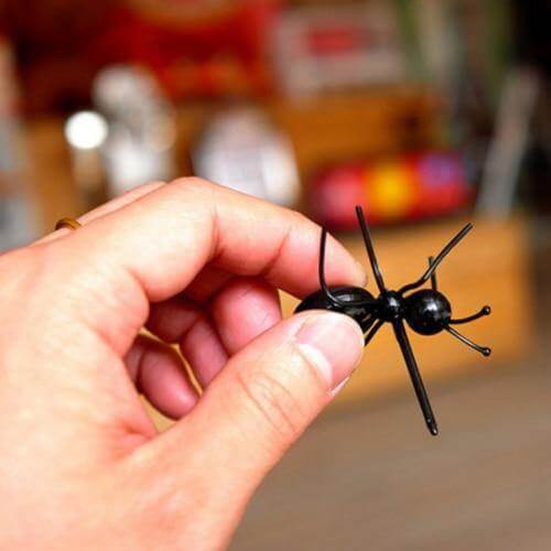 12Pcs Ants Food Fruit Holder - Image 3