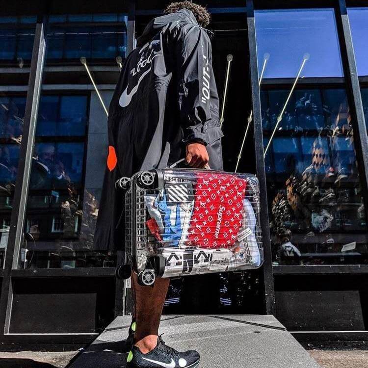 Transparent Traveler Luggage - Image 2