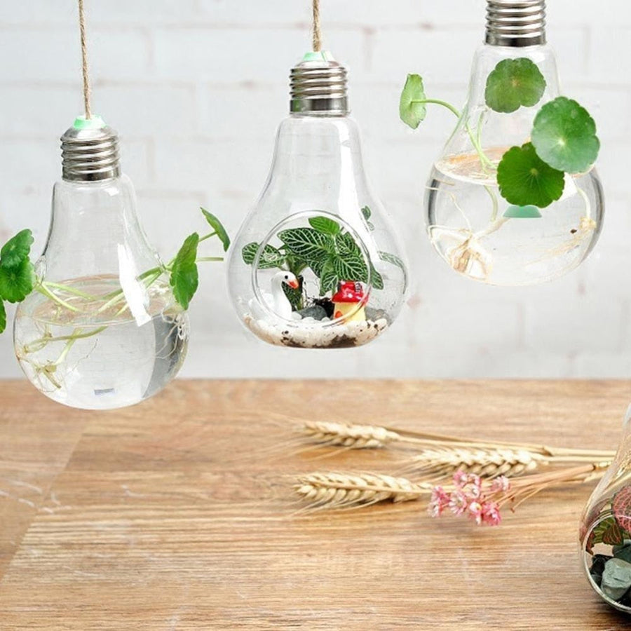 Hanging Glass Light Bulb Lamp Shape Flower Water Plant - Image 1