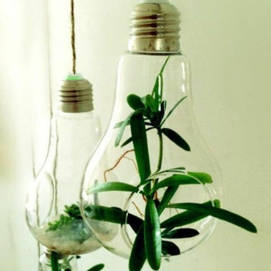 Hanging Glass Light Bulb Lamp Shape Flower Water Plant - Image 2