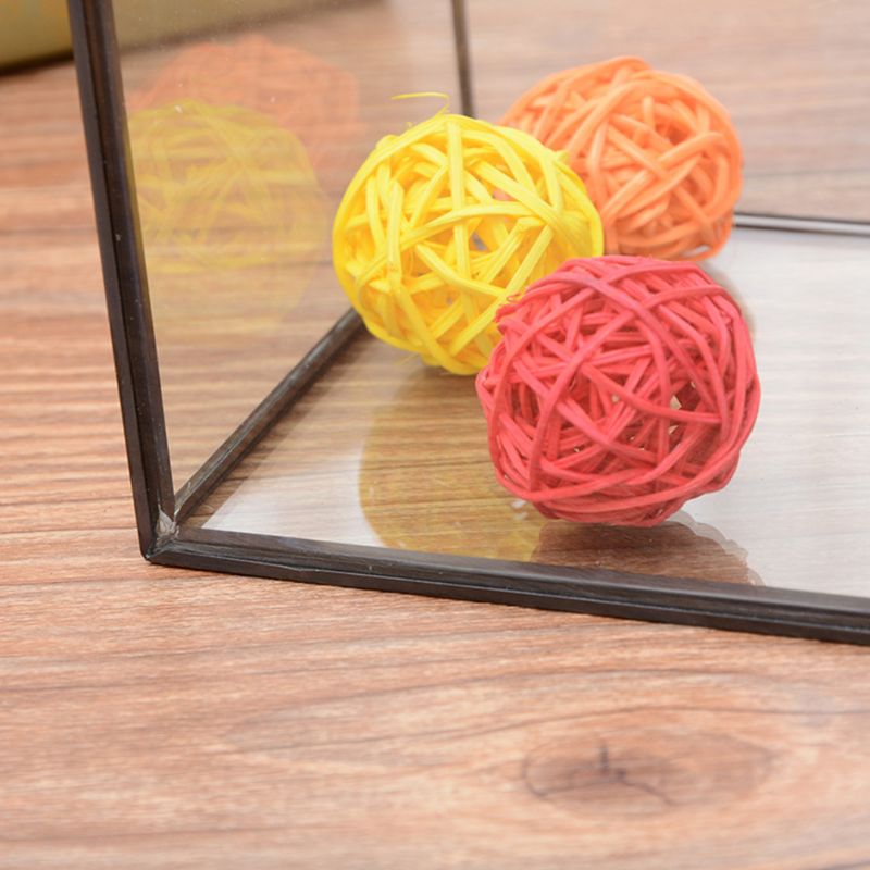 Mini Tabletop Handmade GreenHouse Terrarium - Image 3