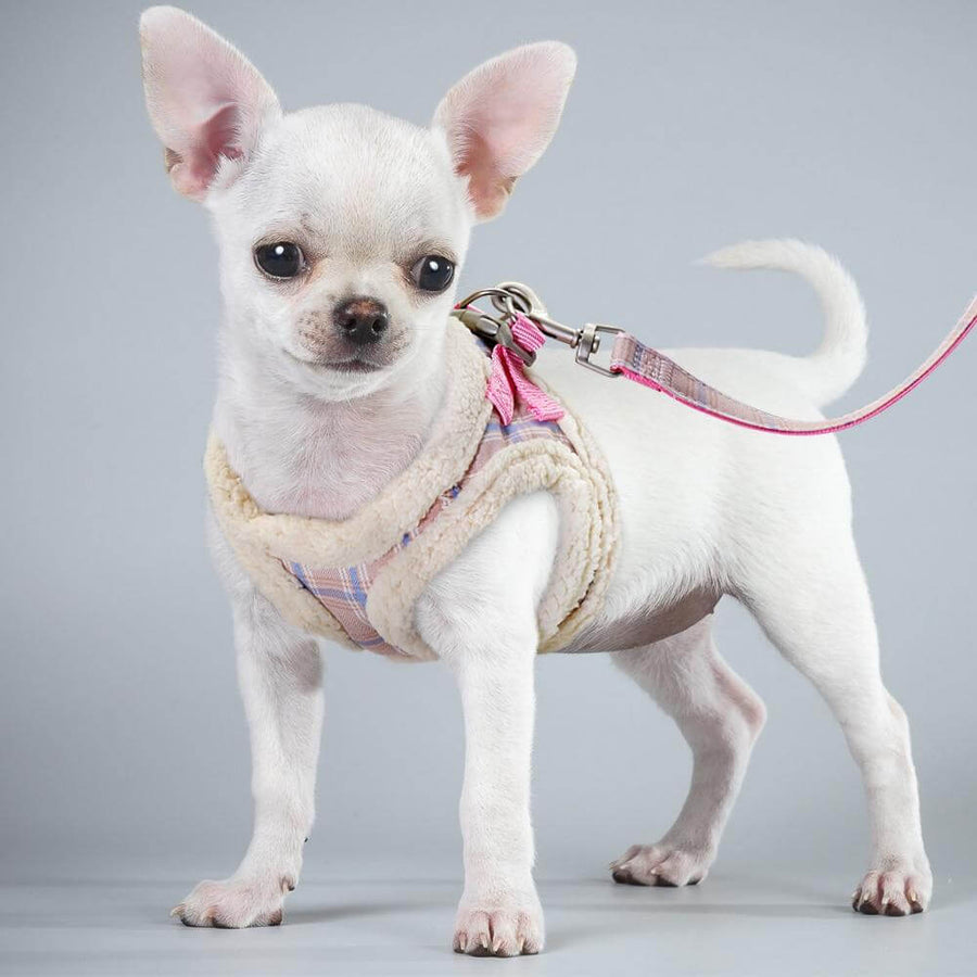Sweet Warm Fur Pet Walking Leash - Image 5