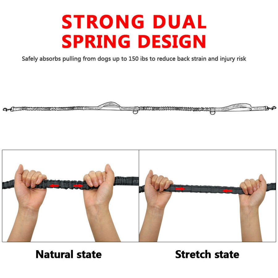 Hands-Free Elastic Waist Dog Leash - Image 1