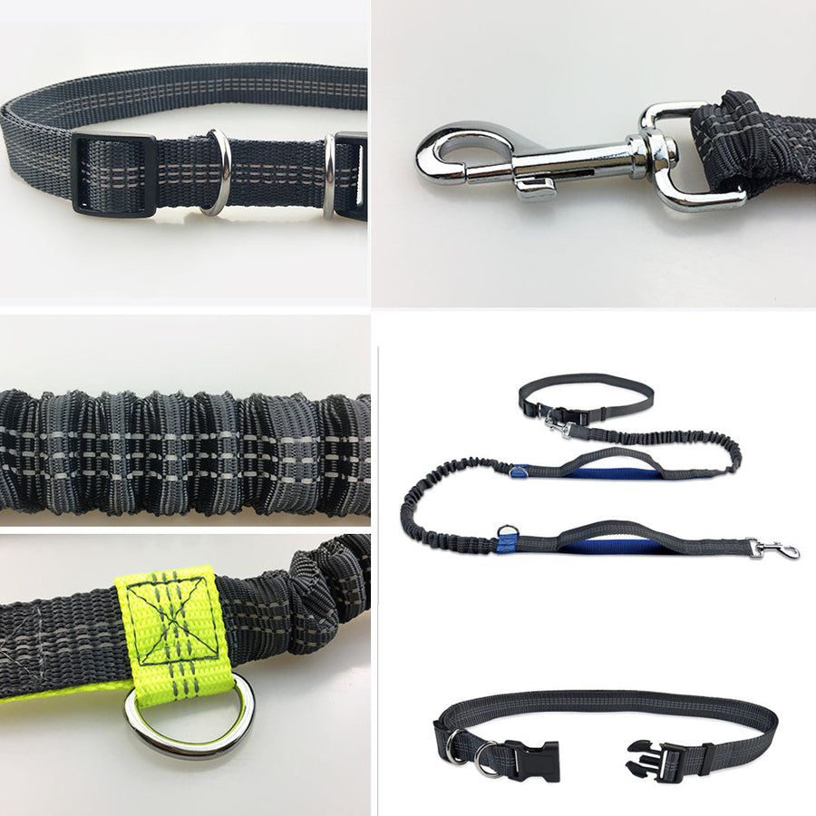 Hands-Free Elastic Waist Dog Leash - Image 5