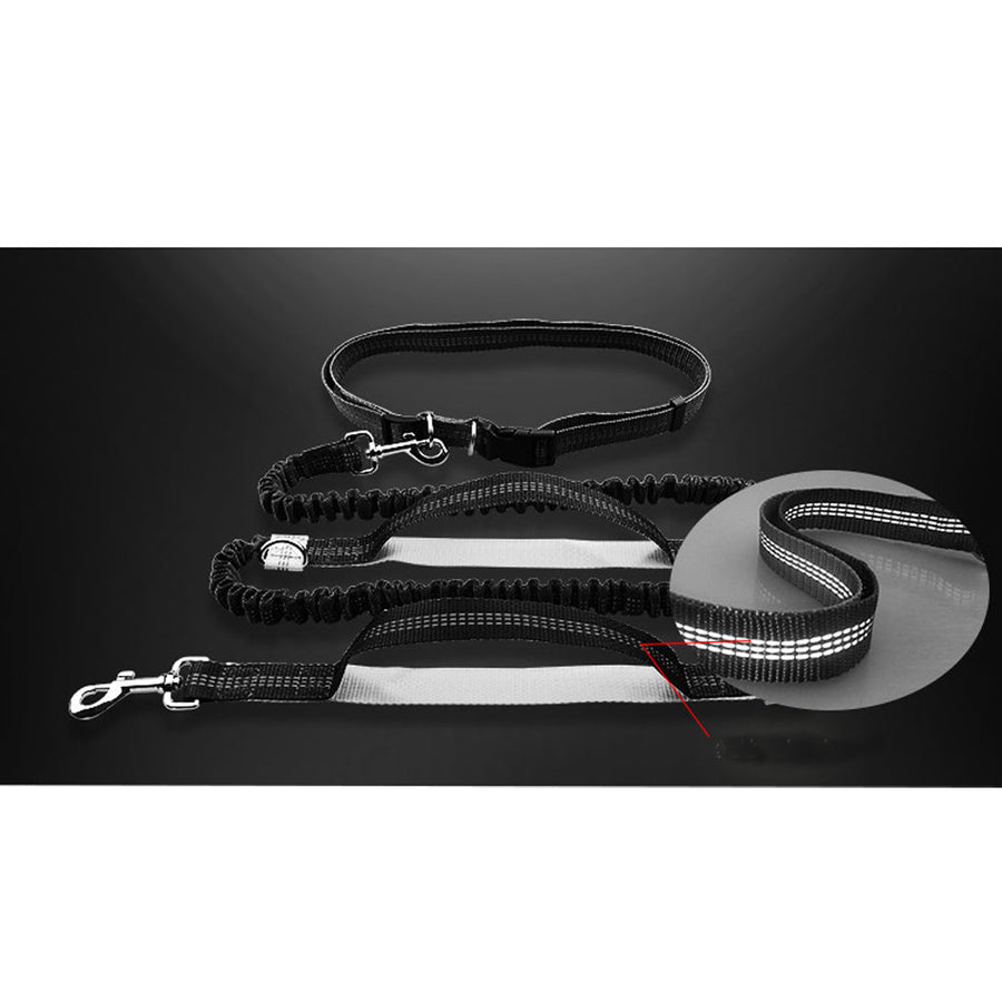Hands-Free Elastic Waist Dog Leash - Image 4