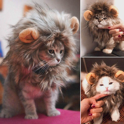 Lion Cat Wig - Image 0