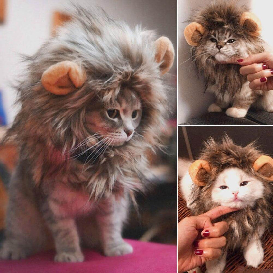 Lion Cat Wig - Image 0