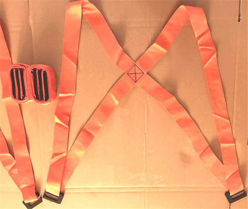 Furniture Moving Strap - Image 0