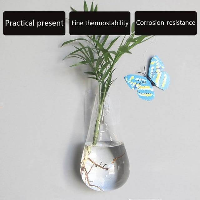 Wall Hanging Hydroponic Glass Vases - Image 3