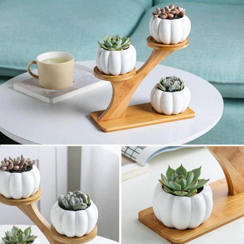 3 Tier Succulent Bamboo Vase Stand - Image 2
