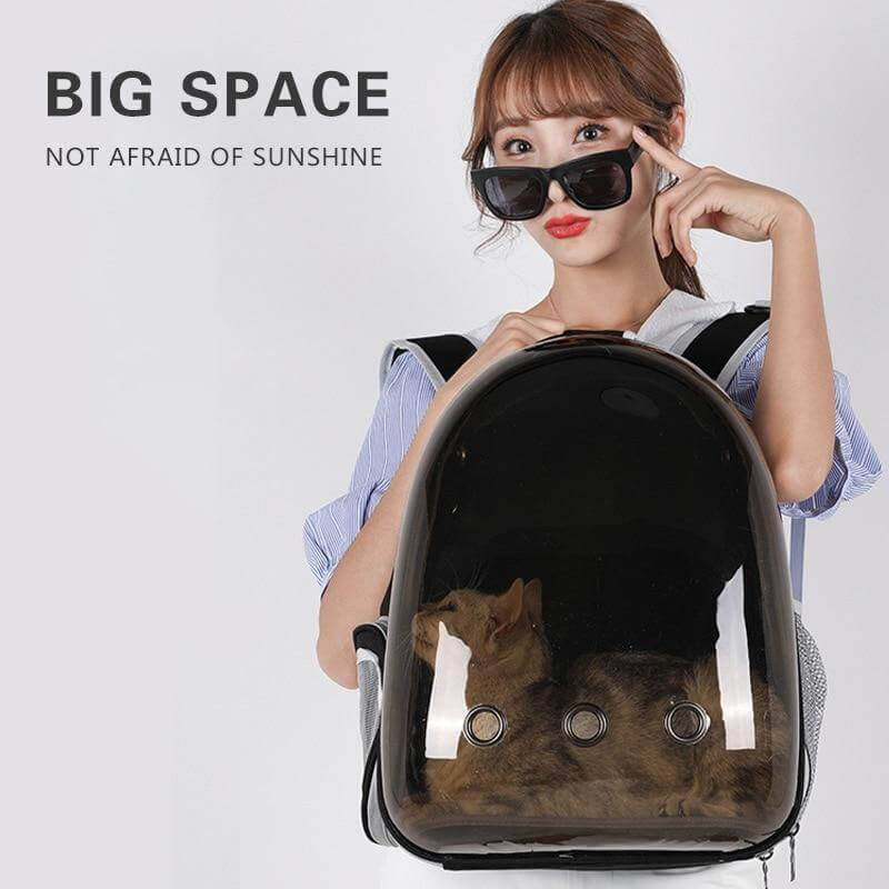 Transparent Breathable Pet Carrier Backpack - Image 4