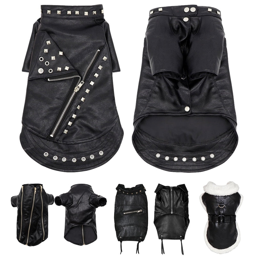 Cool Cute Leather Pet Jacket - Image 2