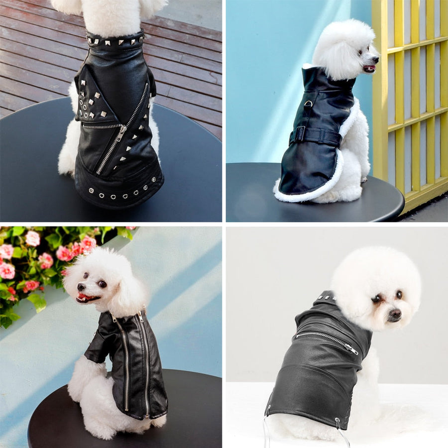 Cool Cute Leather Pet Jacket - Image 1