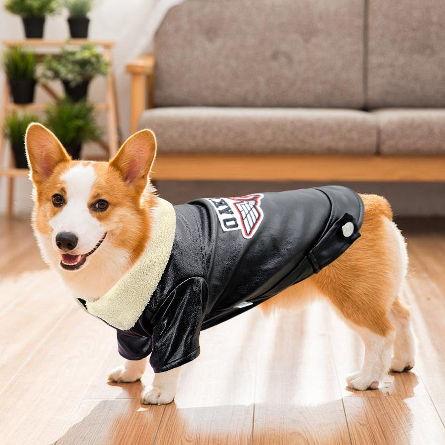Cool Cute Leather Pet Jacket - Image 3