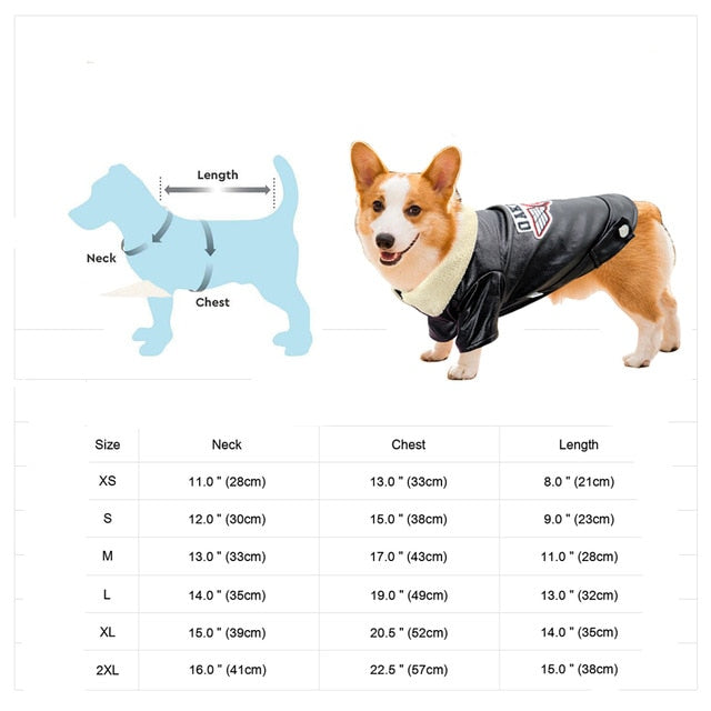 Cool Cute Leather Pet Jacket - Image 14