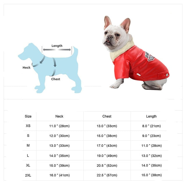 Cool Cute Leather Pet Jacket - Image 11