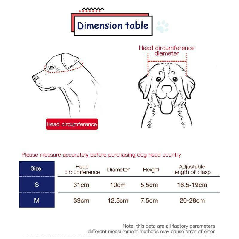 Cool Pet Fashion Helmet & Riding Cap - Image 7