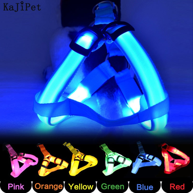 Rechargeable Luminous LED Dog Leash - Image 1
