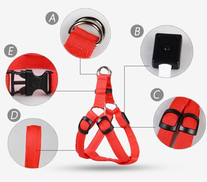 Rechargeable Luminous LED Dog Leash - Image 4