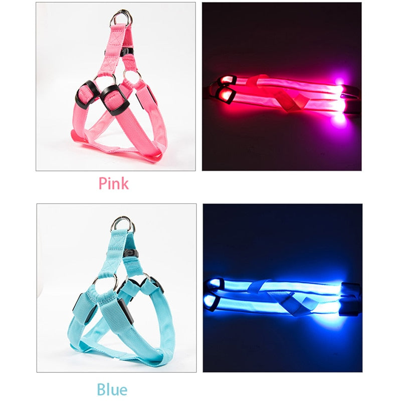 Rechargeable Luminous LED Dog Leash - Image 2