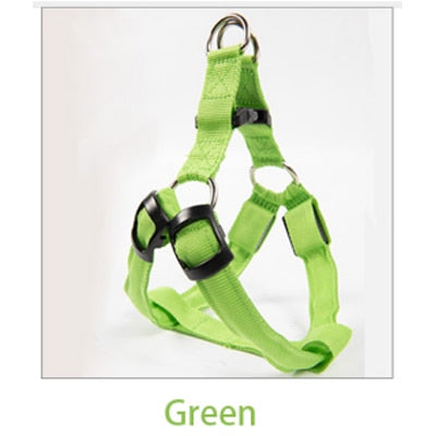 Rechargeable Luminous LED Dog Leash - Image 12