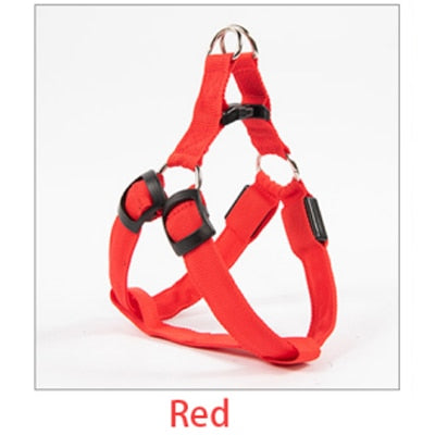 Rechargeable Luminous LED Dog Leash - Image 10
