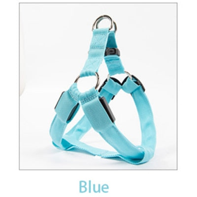 Rechargeable Luminous LED Dog Leash - Image 9