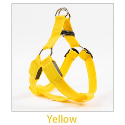 Rechargeable Luminous LED Dog Leash - Image 7