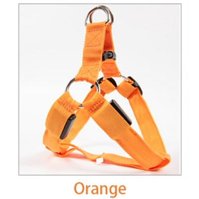 Rechargeable Luminous LED Dog Leash - Image 11