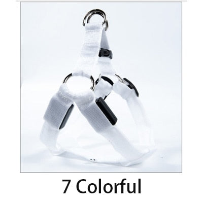 Rechargeable Luminous LED Dog Leash - Image 14