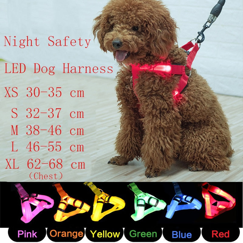 Rechargeable Luminous LED Dog Leash - Image 5