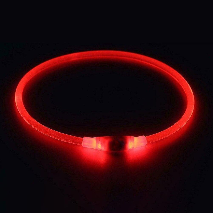 Super Bright Fashion LED Dog Glowing Collar - Image 3
