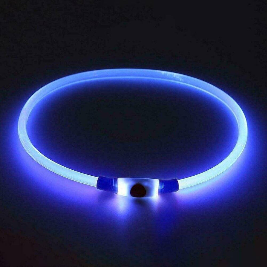 Super Bright Fashion LED Dog Glowing Collar - Image 7