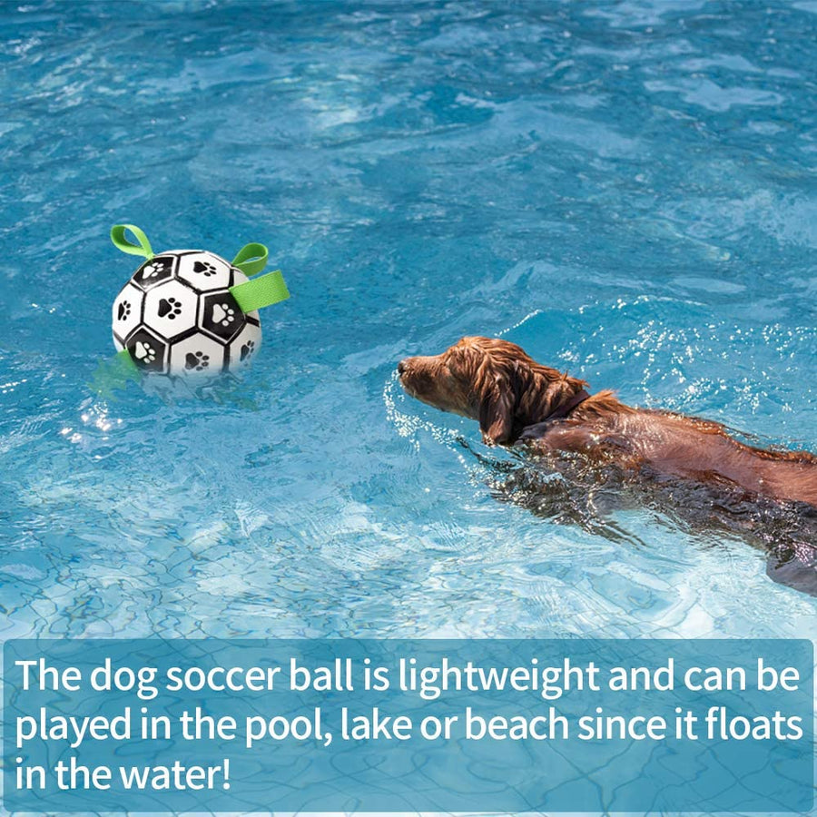Interactive Pet Training Toy Ball - Image 12