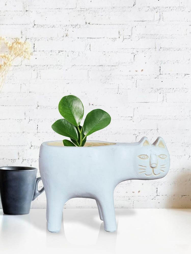 Lovely Ceramic Cat Plant Vase - Image 3