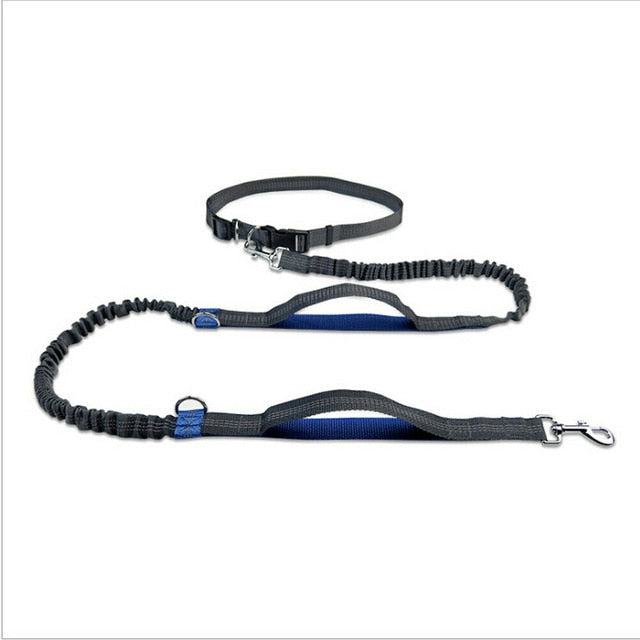 Hands-Free Elastic Waist Dog Leash - Image 10