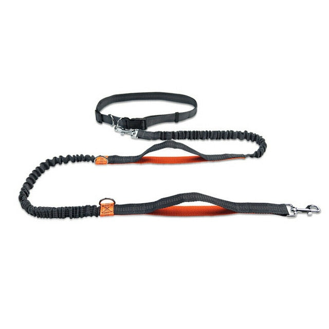Hands-Free Elastic Waist Dog Leash - Image 6