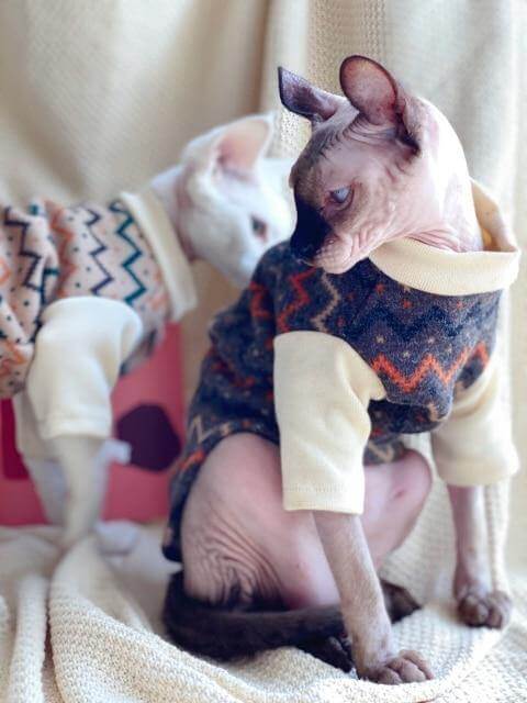 Ethnic Hairless Cat Sweater - Image 7