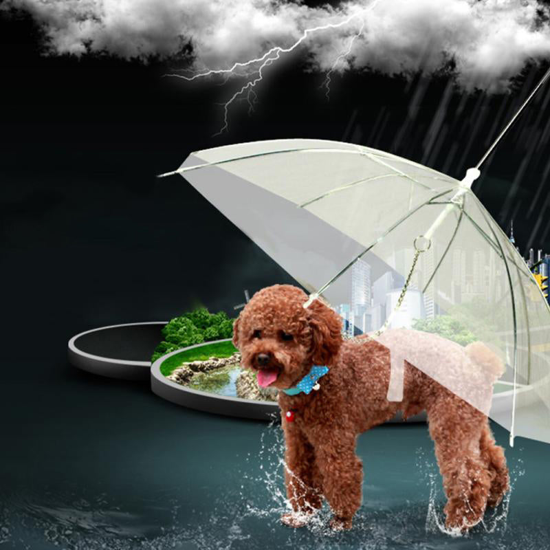 Creative Pet Walking Transparent Umbrella - Image 0