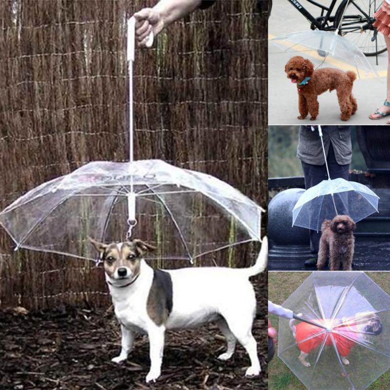 Creative Pet Walking Transparent Umbrella - Image 1