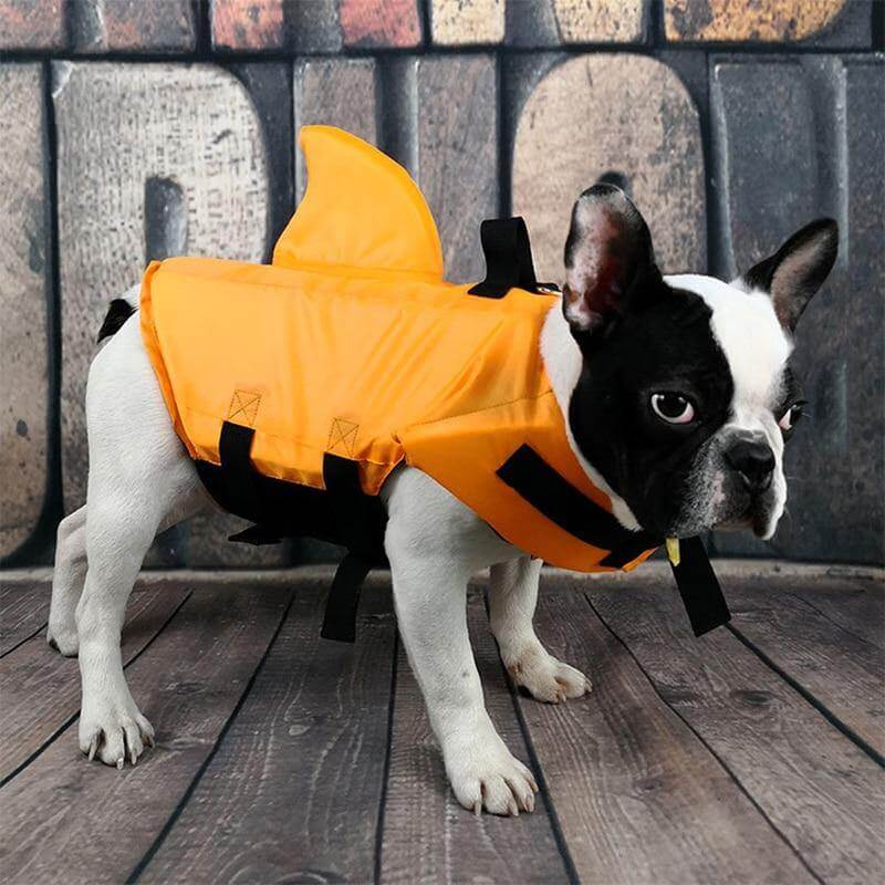 Dog Shark Pet Swimming Life Jacket - Image 1