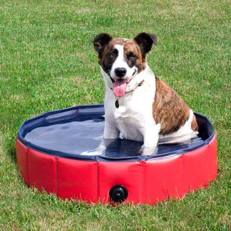 Foldable Pet Bath Pool - Image 3
