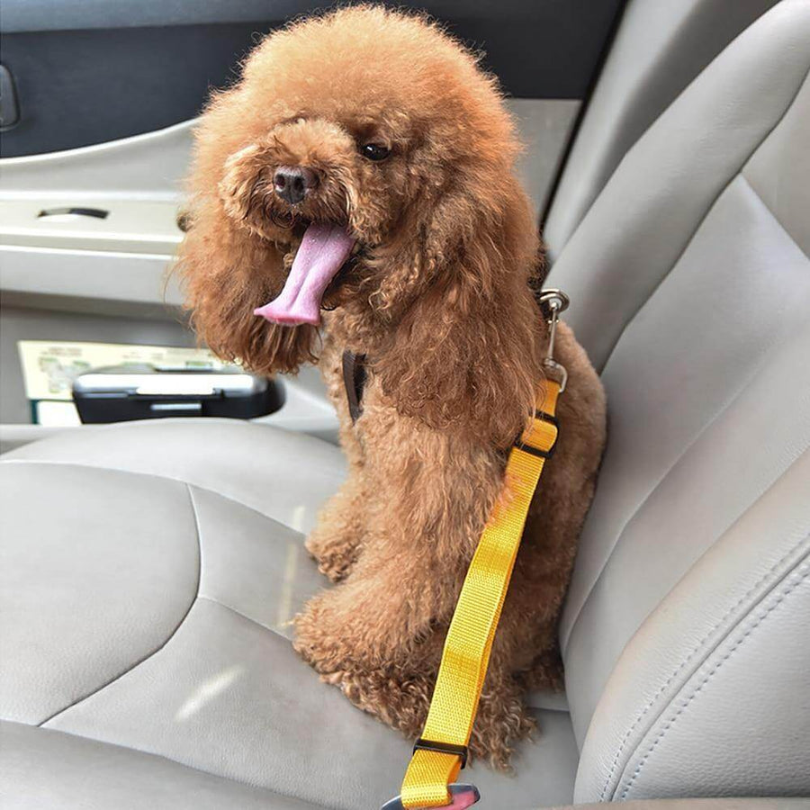 Adjustable Car Pet Safety Belt - Image 1
