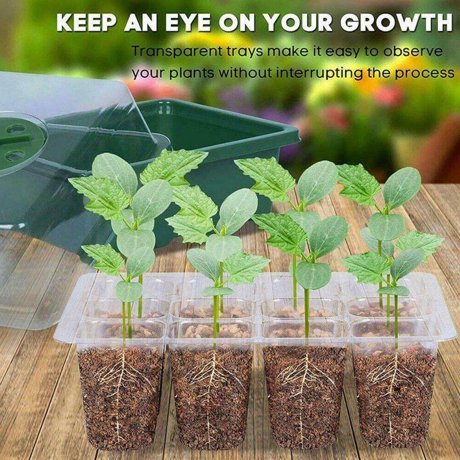Adjustable 12 Seedling Planting Box - Image 4