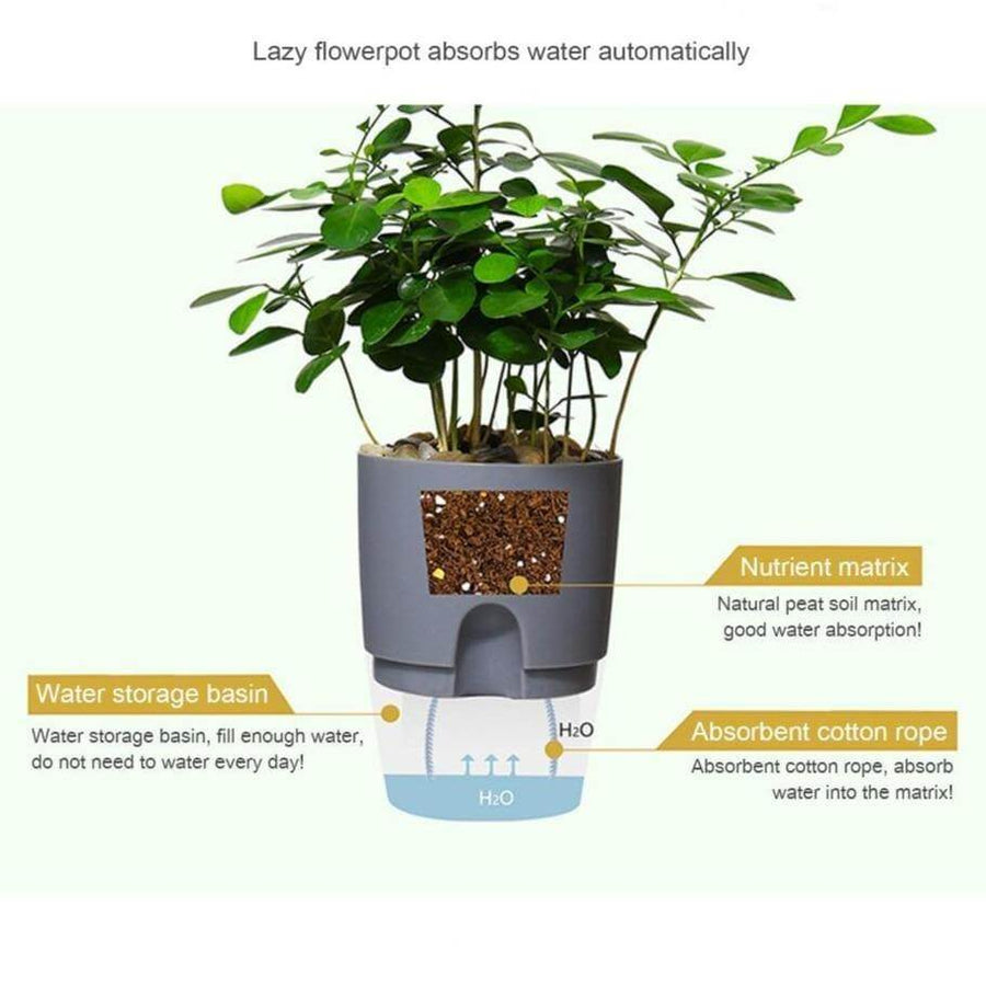 Self-watering Plant Pot with Water Container - Image 4