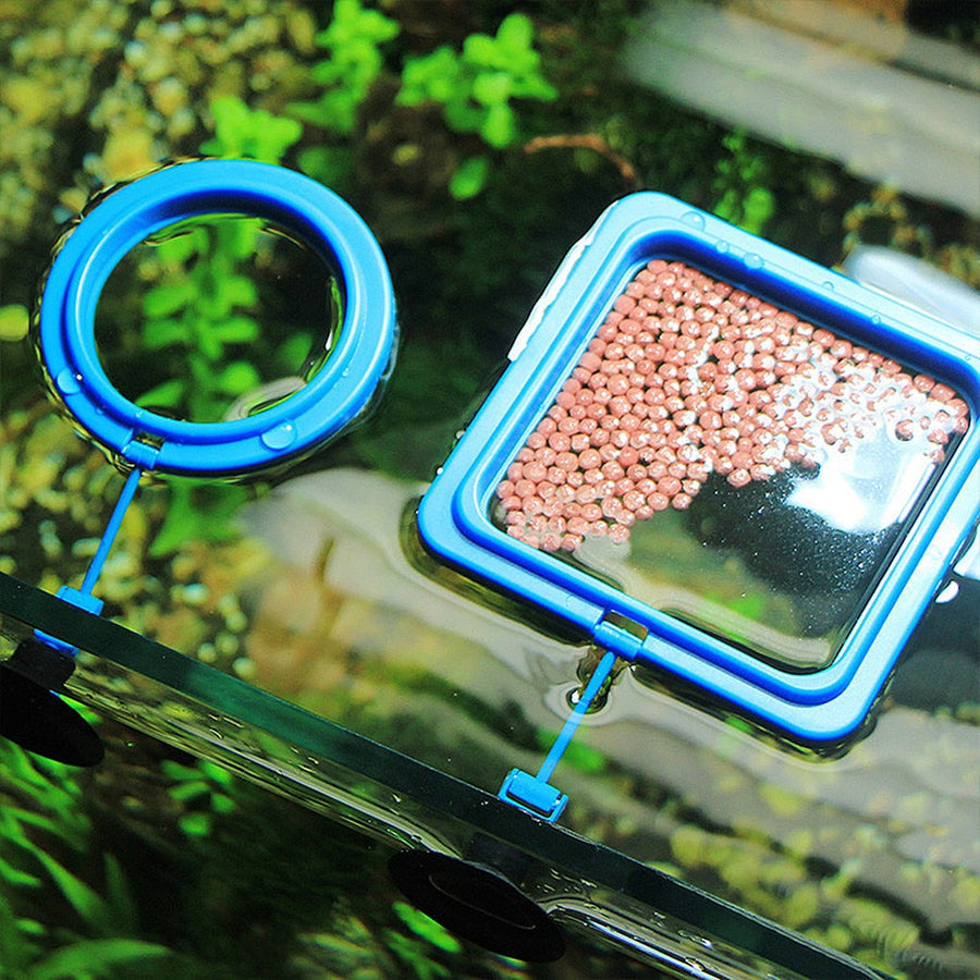 Creative Aquarium Floating Fish Feeder Tray - Image 2