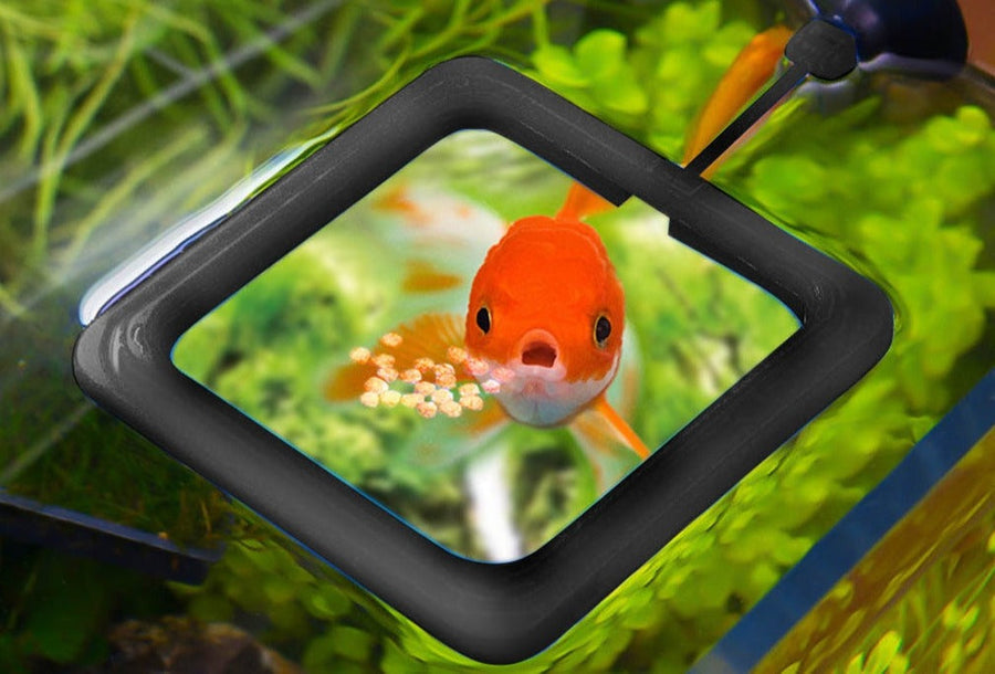 Creative Aquarium Floating Fish Feeder Tray - Image 1