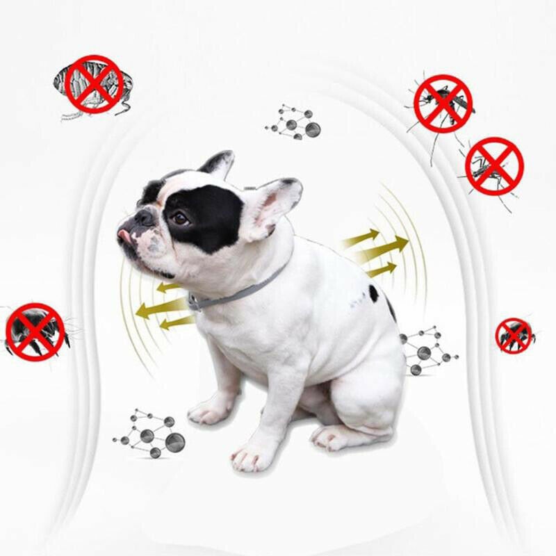 Electric Pet Lice Cleaner Brush - Image 5